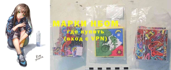 прущие грибы Корсаков