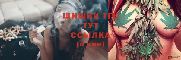 стаф Костерёво