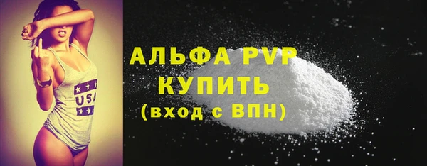 прущие грибы Корсаков