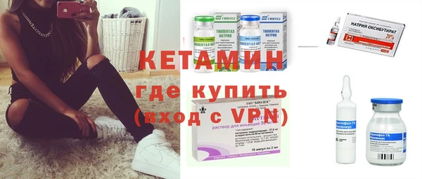 прущие грибы Корсаков