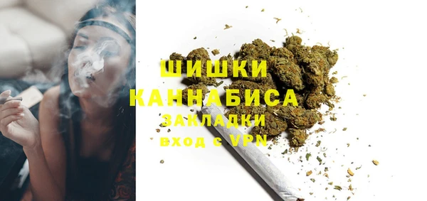 прущие грибы Корсаков