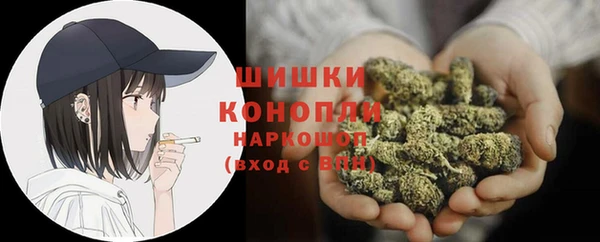 стаф Костерёво