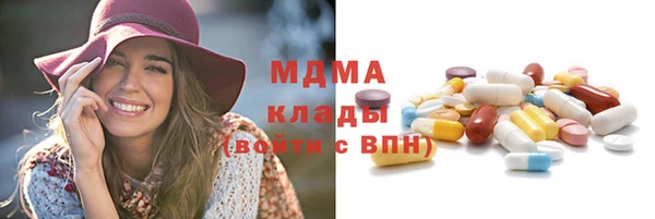прущие грибы Корсаков