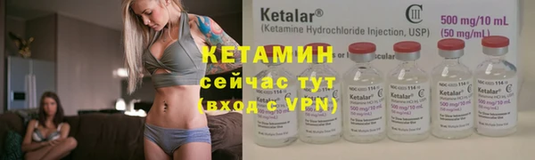прущие грибы Корсаков