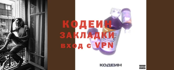 прущие грибы Корсаков