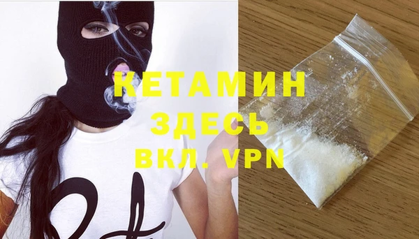 трава Коряжма