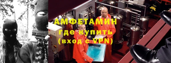 прущие грибы Корсаков
