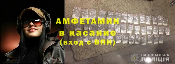 трава Коряжма