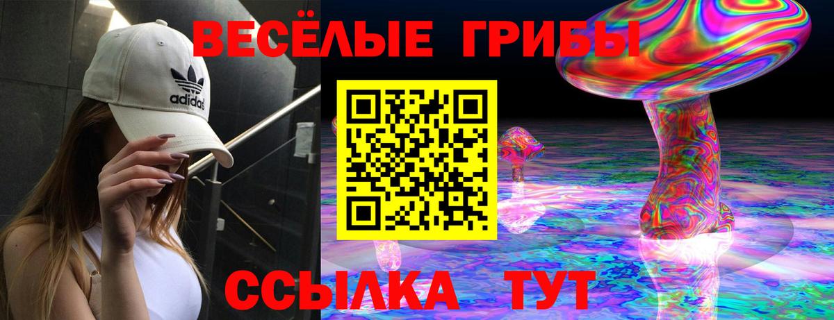 Янаул  Псилоцибиновые грибы Magic Shrooms  Вход с VPN 